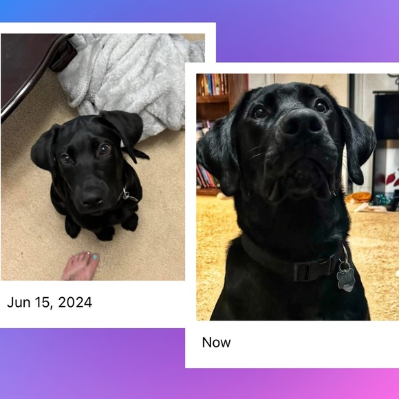 Just Me :) - Picture 11 of 11